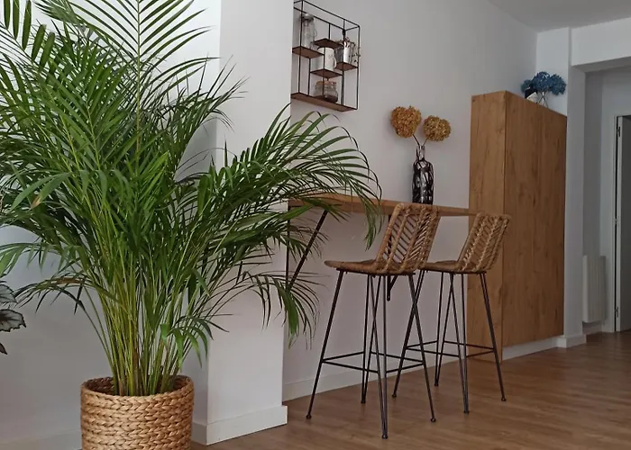 Apartamento Mafaus Con Parking Privado A 600M Playa De Riazor